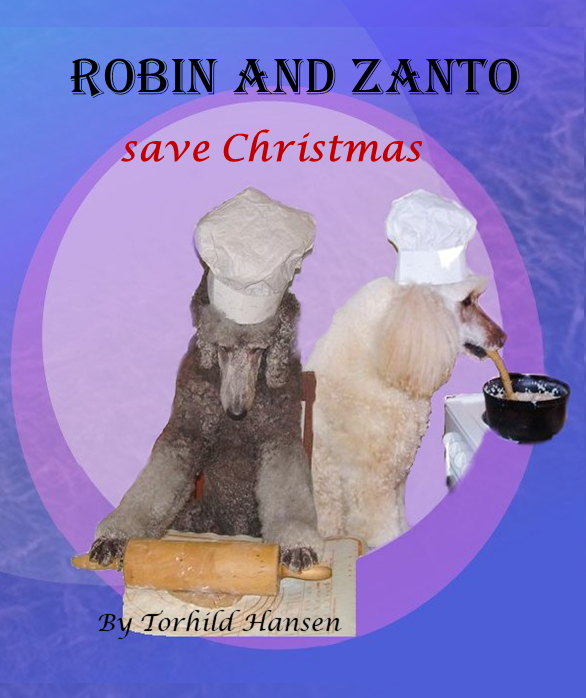 Robin and Zanto save Christmas